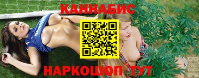 шишки Будённовск