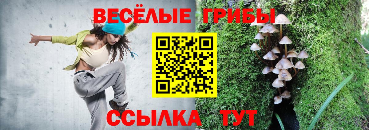 Галлюциногенные грибы мицелий Тельмана