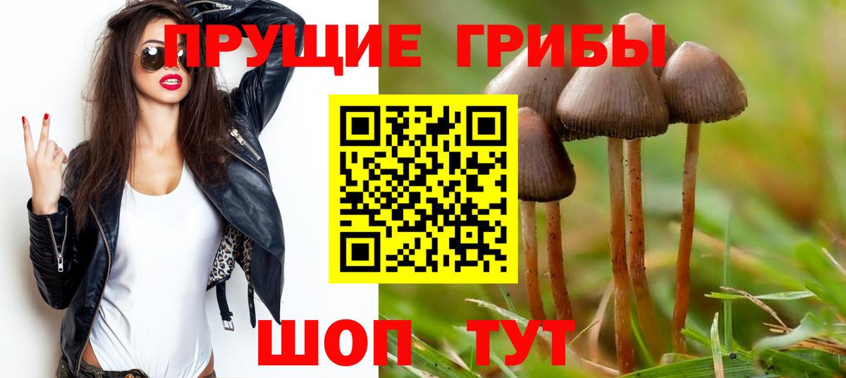 Псилоцибиновые грибы Magic Shrooms  Псилоцибиновые грибы Psilocybe  наркота  Вход с VPN  Тельмана 